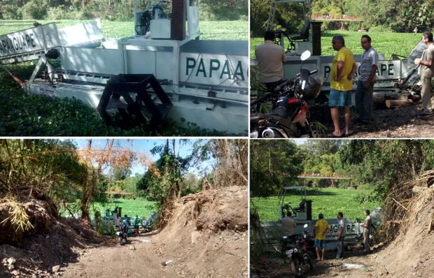 papaaguape quebrado
